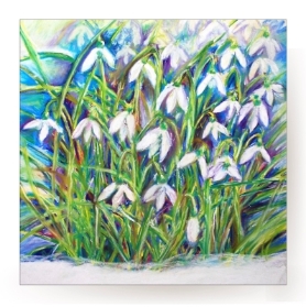 Snowdrops card illustrated by a local North Somerset artist.